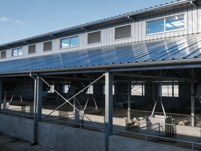 Azzar Frame Farm